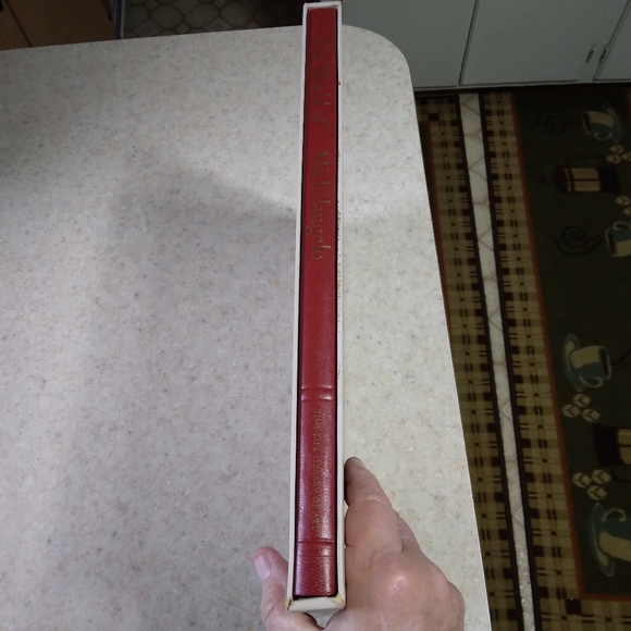 World of Michaelangelo- Time Life Library of Arts - Picture 4 of 9